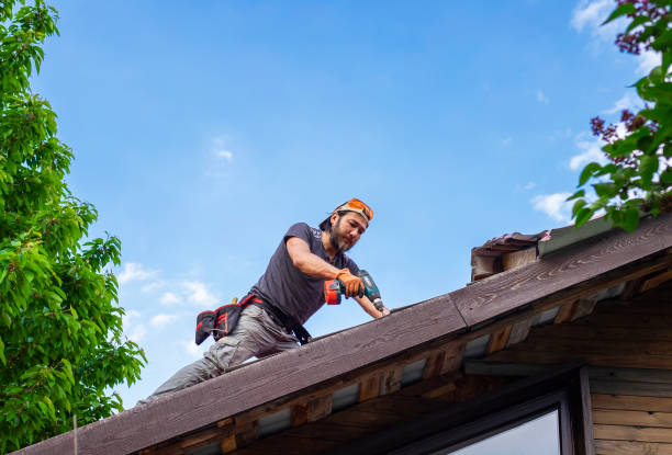 Best Asphalt Shingles Roofing  in Portola Valley, CA