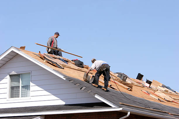 Best Roof Maintenance and Cleaning  in Portola Valley, CA